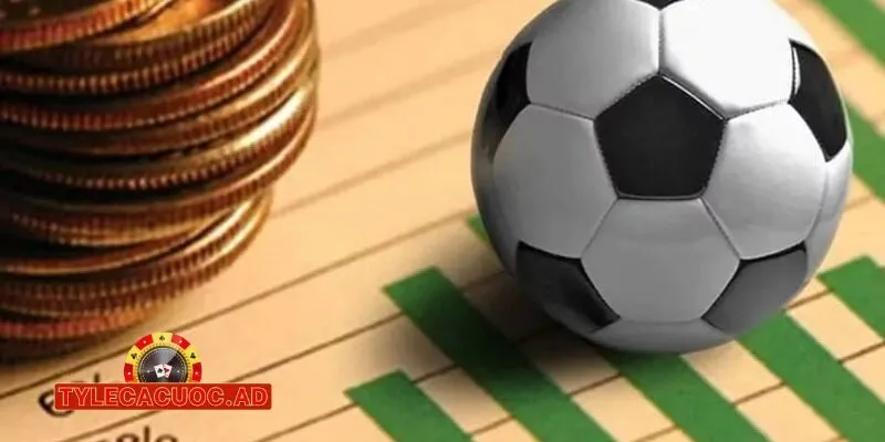 ke ten top trang web ca cuoc bong da uy tin nhat bay gio 1 Kể Tên Top Trang Web Cá Cược Bóng Đá